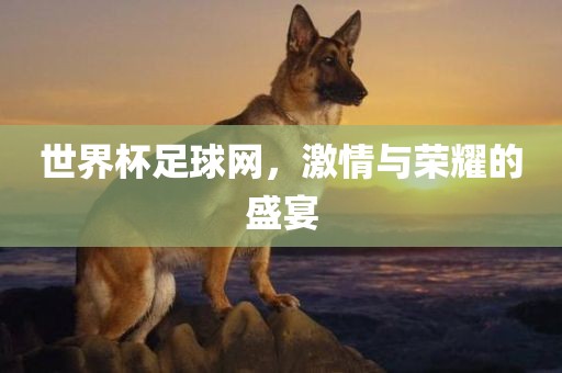 世界杯足球网，激情与荣耀的盛漯河市盈旭机械设备有限公司宴