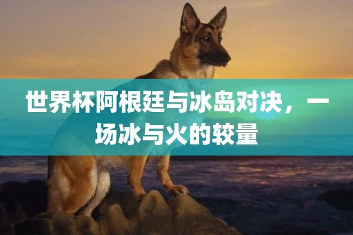 世界杯阿根廷与冰岛对决，一场冰与火的较量