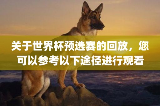 关于世界杯预选赛的回放，您可以参考以下途径进行观看