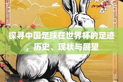 探寻中国足球在世界杯的足迹，历史、现状与展望