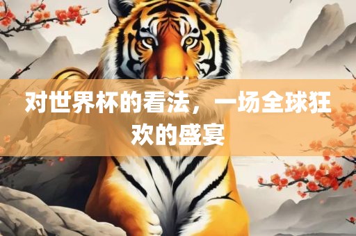 对世界杯的看法，一场全球狂欢的盛宴漯河市盈旭机械设备有限公司