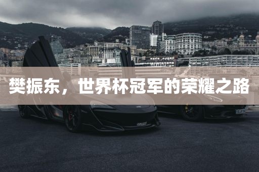 樊振东，世界杯冠军的荣耀之路