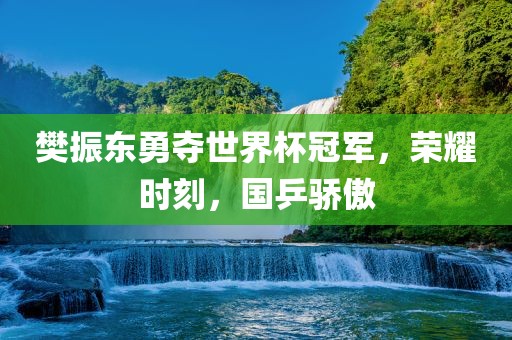 樊振东勇夺世界杯冠军，荣耀时刻，国乒骄傲