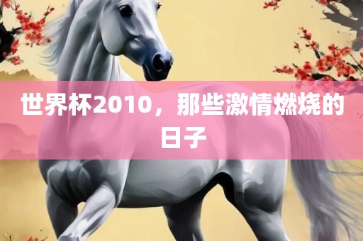 世界杯2010，那些激情燃烧的日子