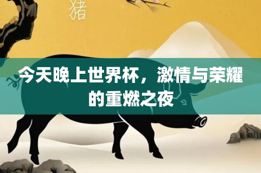 今天晚上世界杯，激情与荣耀的重燃之夜漯河市盈旭机械设备有限公司