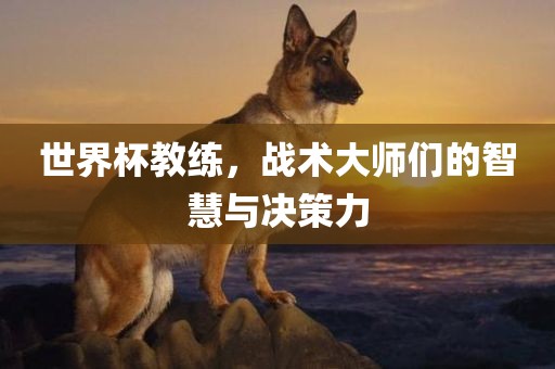 世界杯教练，战术大师们的智慧与决策力