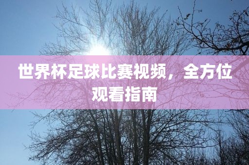 世界杯足球比赛视频，全方位观看指南