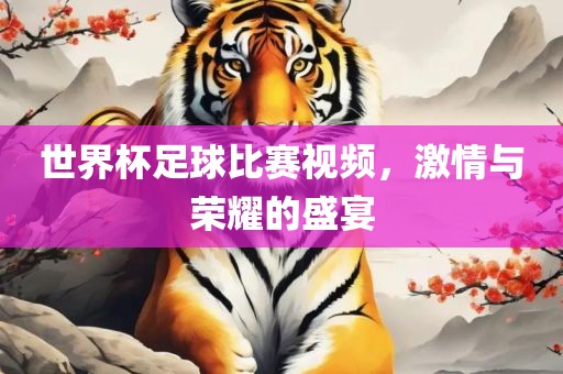 世界杯足球比赛视频，激情与荣耀的盛宴