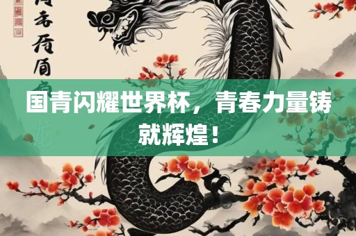 国青闪耀世界杯，青春力量铸就辉煌！漯河市盈旭机械设备有限公司