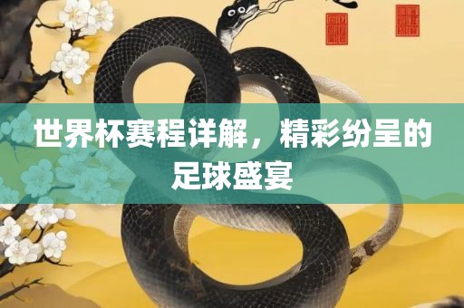 世界杯赛程详解，精彩纷呈的足球盛宴
