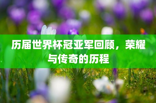 历届世界杯冠亚军回顾，荣耀与传奇的历程