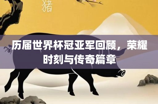 历届世界杯冠亚军回顾，荣耀时刻与传奇篇章