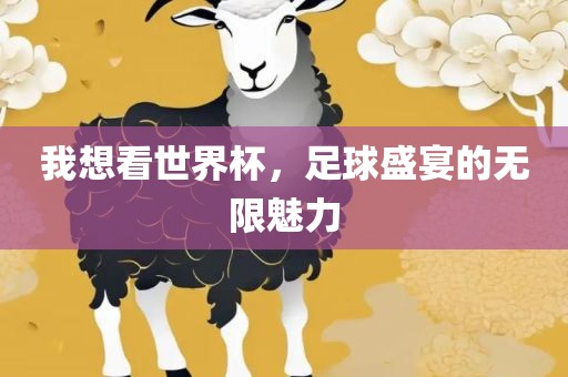 我想看世界杯，足球盛宴的无限魅力