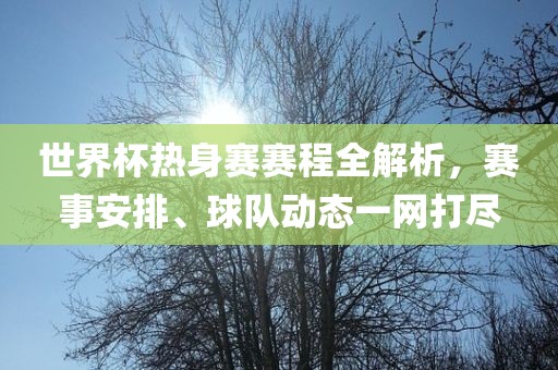 世界杯热身赛赛程全解析，赛事安排、球队动态一网打尽