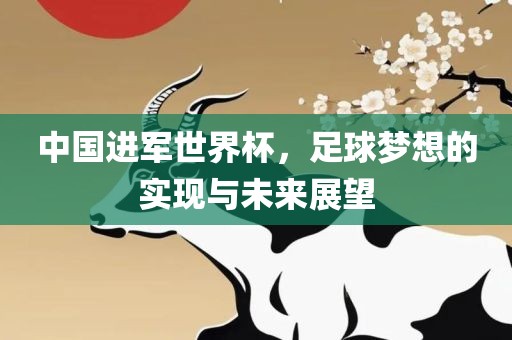 中国进军世界杯，足球梦想的实现与未来展望