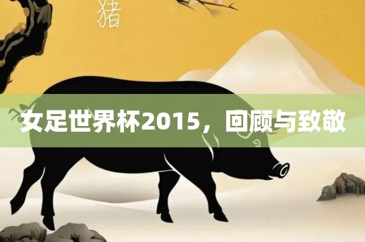 女足世界杯2015，回顾与致敬漯河市盈旭机械设备有限公司