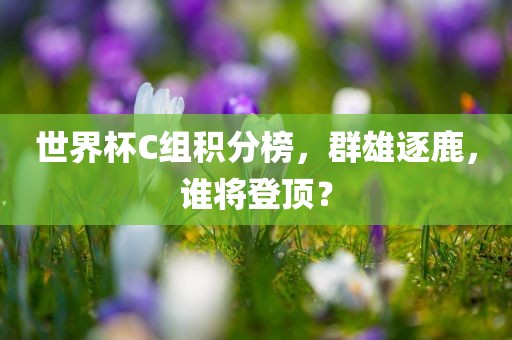 世界杯C组积分榜