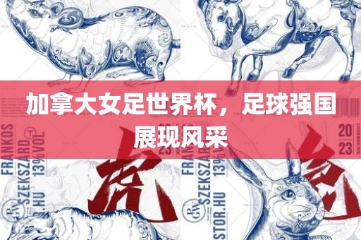 加拿大女足世界杯，足球强国展现风采