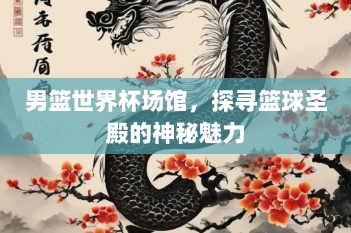男篮世界杯场馆，探寻篮球圣殿的神秘魅力