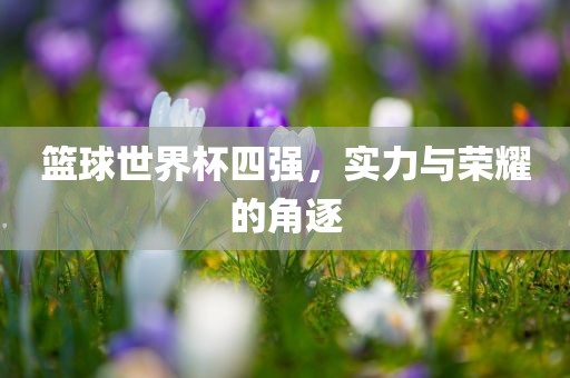 篮球世界杯四强，实力与荣耀的角逐