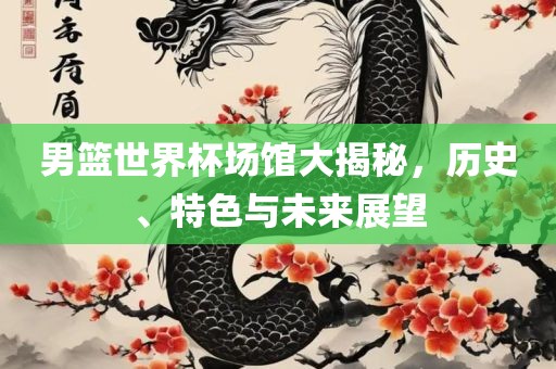 男篮世界杯场馆大揭秘，历史、特色与未来展望