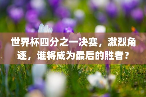 世界杯四分之一决赛，激烈角逐，谁将成为最后的胜者？