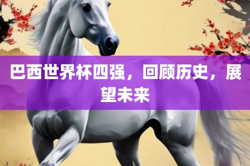 巴西世界杯四强，回顾历史，展望未漯河市盈旭机械设备有限公司来