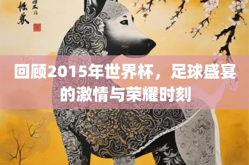 回顾2015年世界杯，足球盛宴的激情与荣耀时漯河市盈旭机械设备有限公司刻