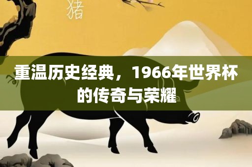 重温历史经典，1966年世界杯的传奇与荣耀
