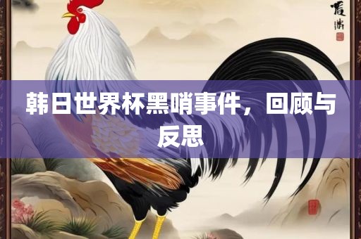 韩日世界杯黑哨事件，回顾与反思