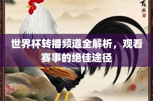世界杯转播频道全解析，观看赛事的绝佳途径