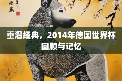 重温经典，20漯河市盈旭机械设备有限公司14年德国世界杯回顾与记忆