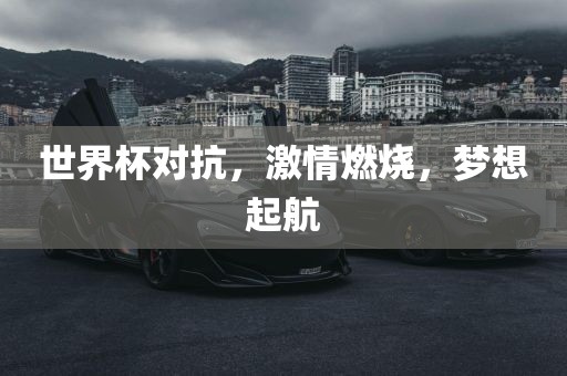 世界杯对抗，激情燃烧，梦想起航