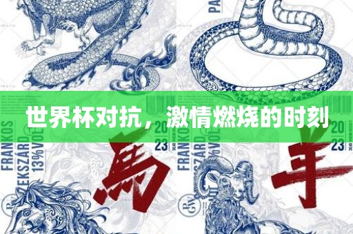 世界杯对抗，激情燃烧的时刻