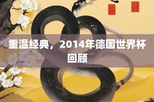 重温经典，2014年德国世界杯回顾漯河市盈旭机械设备有限公司