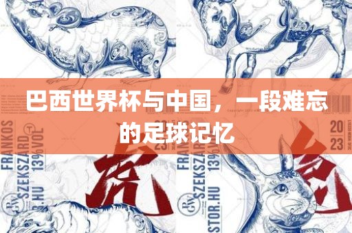 巴西世界杯与中国，一段难忘的足球记忆
