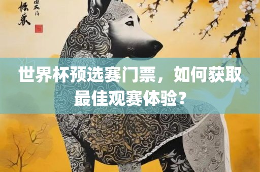 世界杯预选赛门票，如何获取最佳观赛体验？