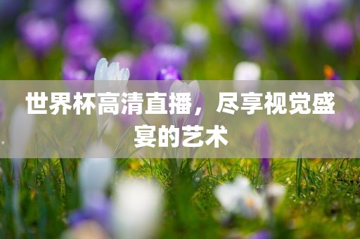 世界杯高清直播，尽享视觉盛宴的艺术