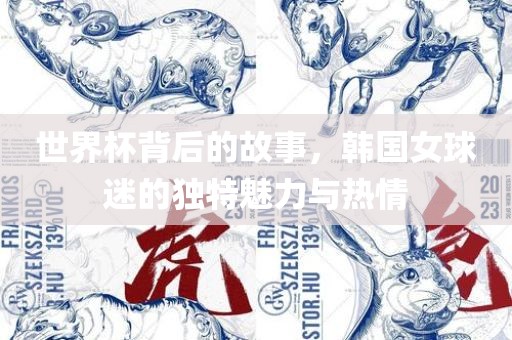 世界杯背后的故事，韩国女球迷的独特魅力与热情漯河市盈旭机械设备有限公司