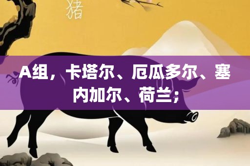 A组，卡塔尔、厄瓜多尔、塞内加尔、荷兰；