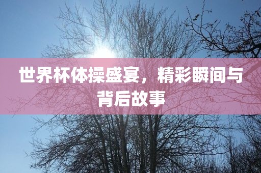 世界杯体操盛宴，精彩瞬间与背后故事漯河市盈旭机械设备有限公司
