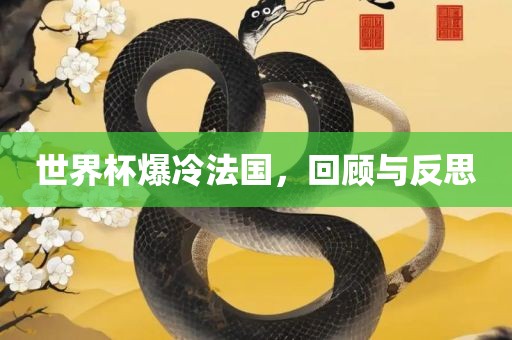 世界杯爆冷法国，回顾与反思