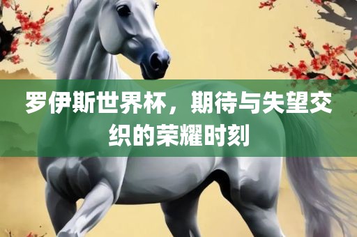 罗伊斯世界杯，期待与失望交织的荣耀时刻