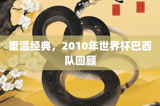 重温经典，2010年世界杯巴西队回顾