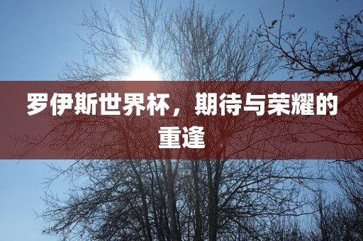 罗伊斯世界杯，期待与荣耀的重逢