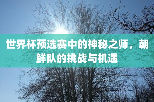 世界杯预选赛中的神秘之师，朝鲜队的挑战与机遇漯河市盈旭机械设备有限公司