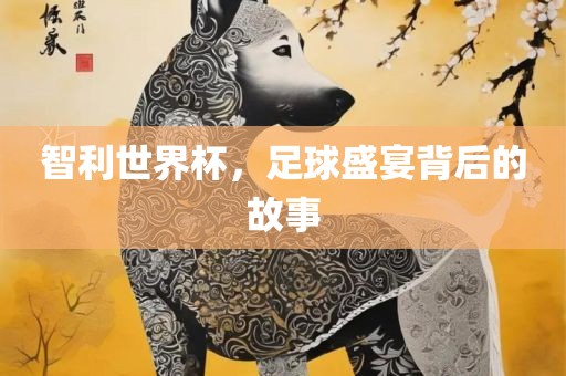 智利世界杯，足球盛宴背后的故事