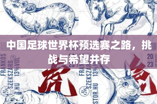 中国足球世界杯预选赛之路，挑战与希望并存