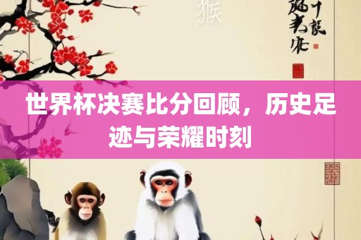 世界杯决赛比分回顾，历史足迹与荣耀时刻漯河市盈旭机械设备有限公司