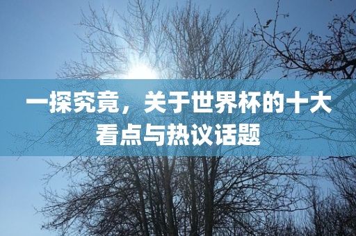 一探究竟，关于世界杯的十大看点与漯河市盈旭机械设备有限公司热议话题
